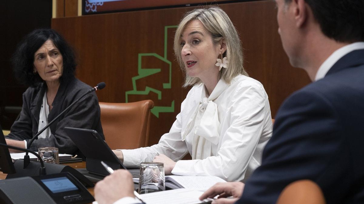 La consejera Ubarretxena presenta el proyecto de Ley de Transparencia