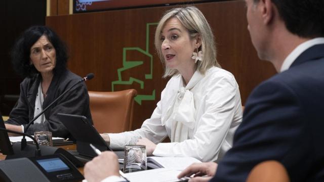 La consejera Ubarretxena presenta el proyecto de Ley de Transparencia / PARLAMENTO VASCO La consejera Ubarretxena presenta el proyecto de Ley de Transparencia