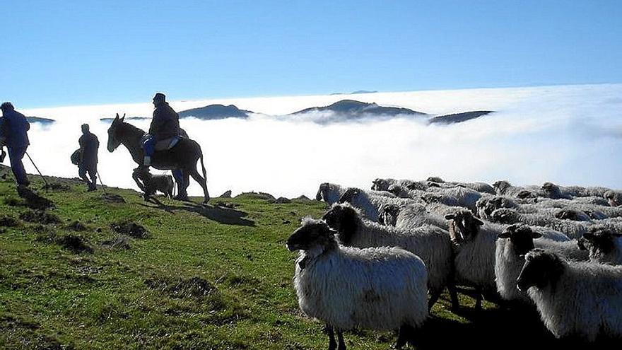 Aizkorri, uno de los parque naturales que atraviesa la ruta. | FOTO: GOITUR