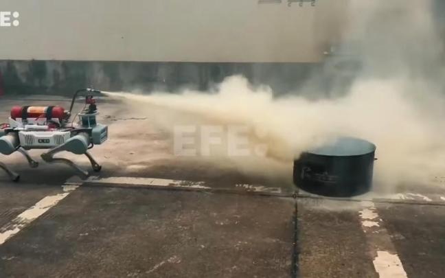 El perro robot chino que extingue incendios. / EFE El perro robot chino que extingue incendios.