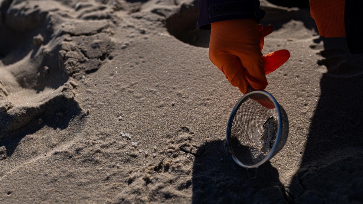 Voluntarios hacen una recogida de pellets de la arena en una playa gallega.