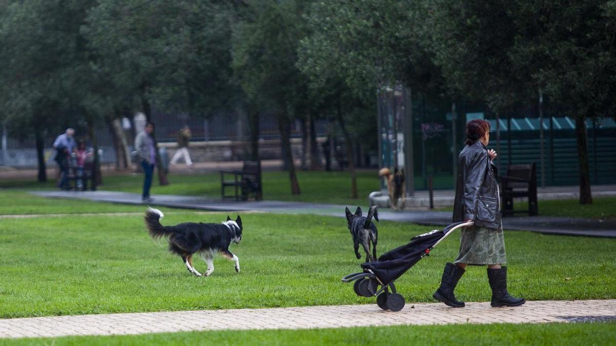 El parque de Judimendi tendrá nuevos juegos infantiles, una tirolina y un parque canino