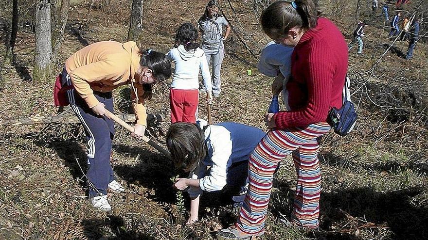 Un grupo de jóvenes plantando acebos en un pasado Zuhaitz Eguna en Aiaraldea.