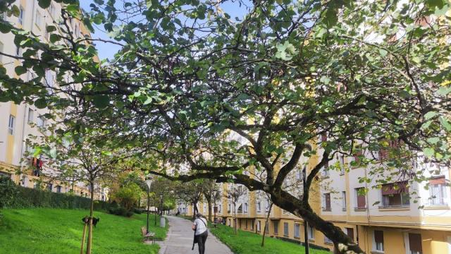 El cuidado de los jardines es un elemento clave en la calidad de vida en las ciudades.