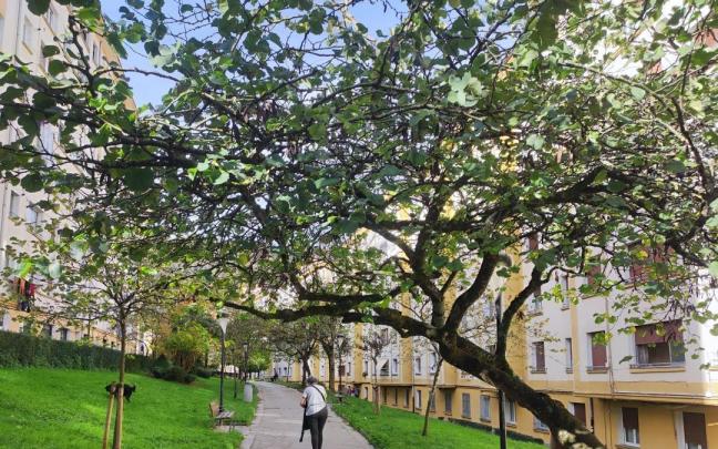 El cuidado de los jardines es un elemento clave en la calidad de vida en las ciudades.