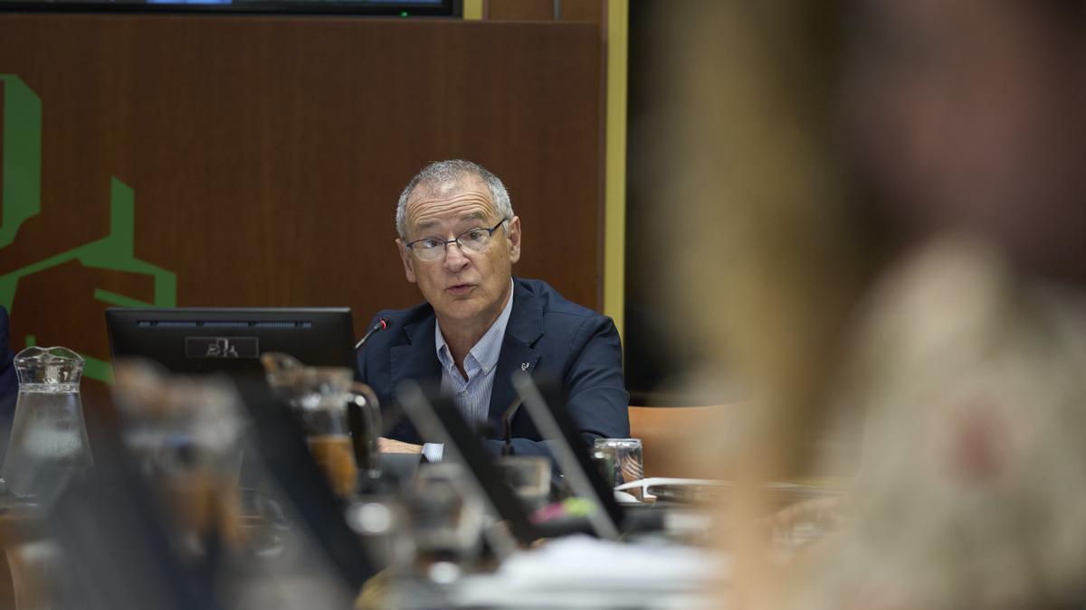 El rector de la EHU, Joxerramon Bengoetxea, en el Parlamento Vasco.