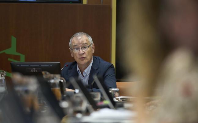 El rector de la EHU, Joxerramon Bengoetxea, en el Parlamento Vasco.