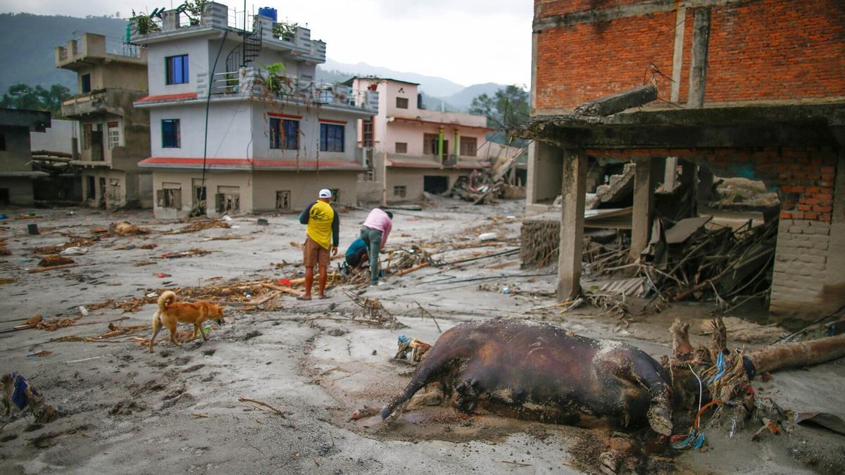 La NDRRMA confirmó que hay más de 2.498 personas desaparecidas en territorio nepalí, tras elevar a 589 los ciudadanos extranjeros desaparecidos.