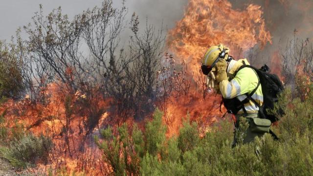 Un gran lengua de fuego procedente del Incendio forestal que afecta a Puercas, Zamora, en la Sierra de la Culebra. | EFE