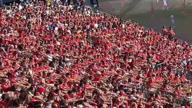 La afición noruega 