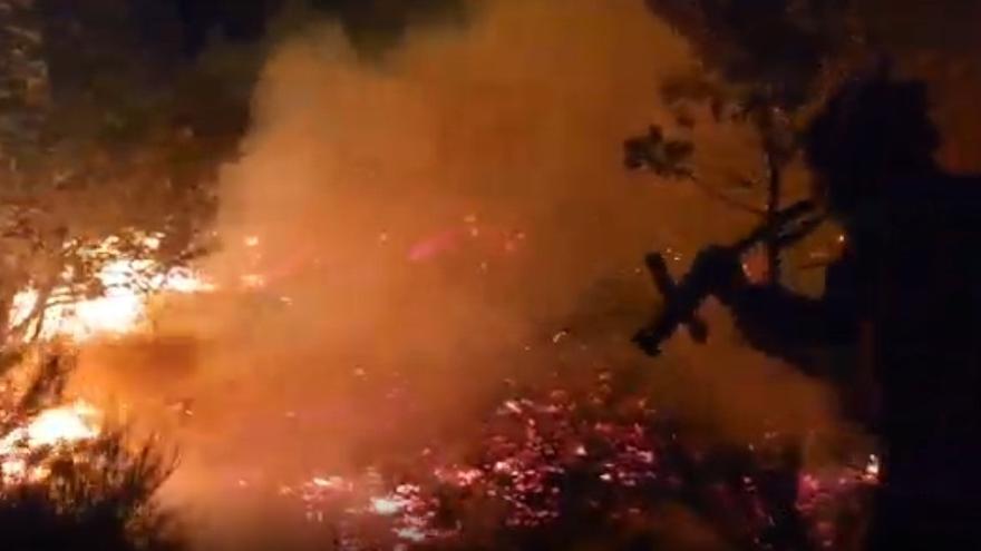La UME realiza "ataques directos" al incendio para defender a la población de Turienzo Castañero (León).