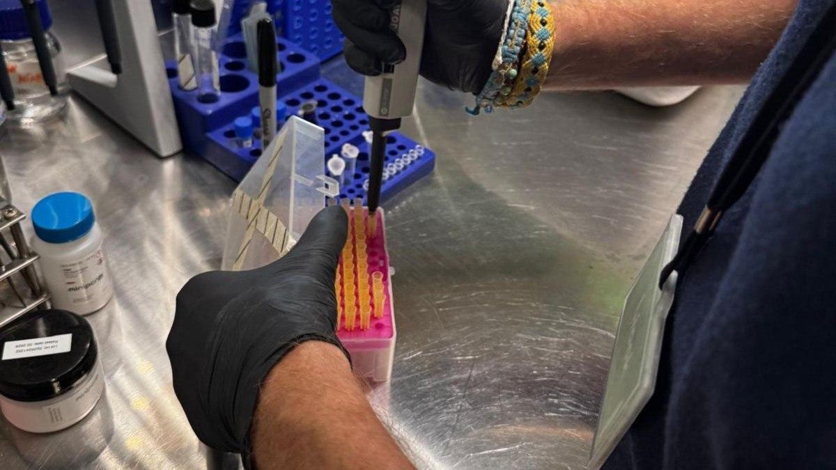 El taller tiene como objetivo acercar la ciencia a las nuevas generaciones.