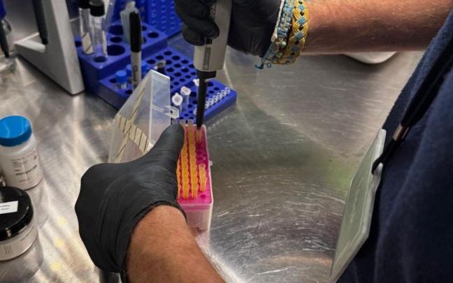 El taller tiene como objetivo acercar la ciencia a las nuevas generaciones.
