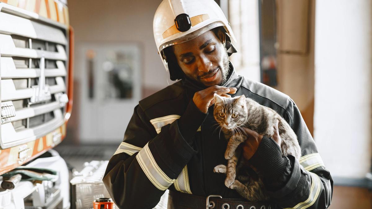 Bombero rescatando a un gato.