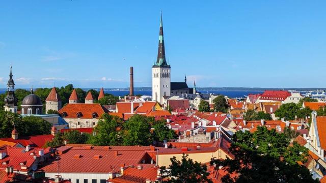 Panorámica de Tallin desde el mirador de Patkuli.