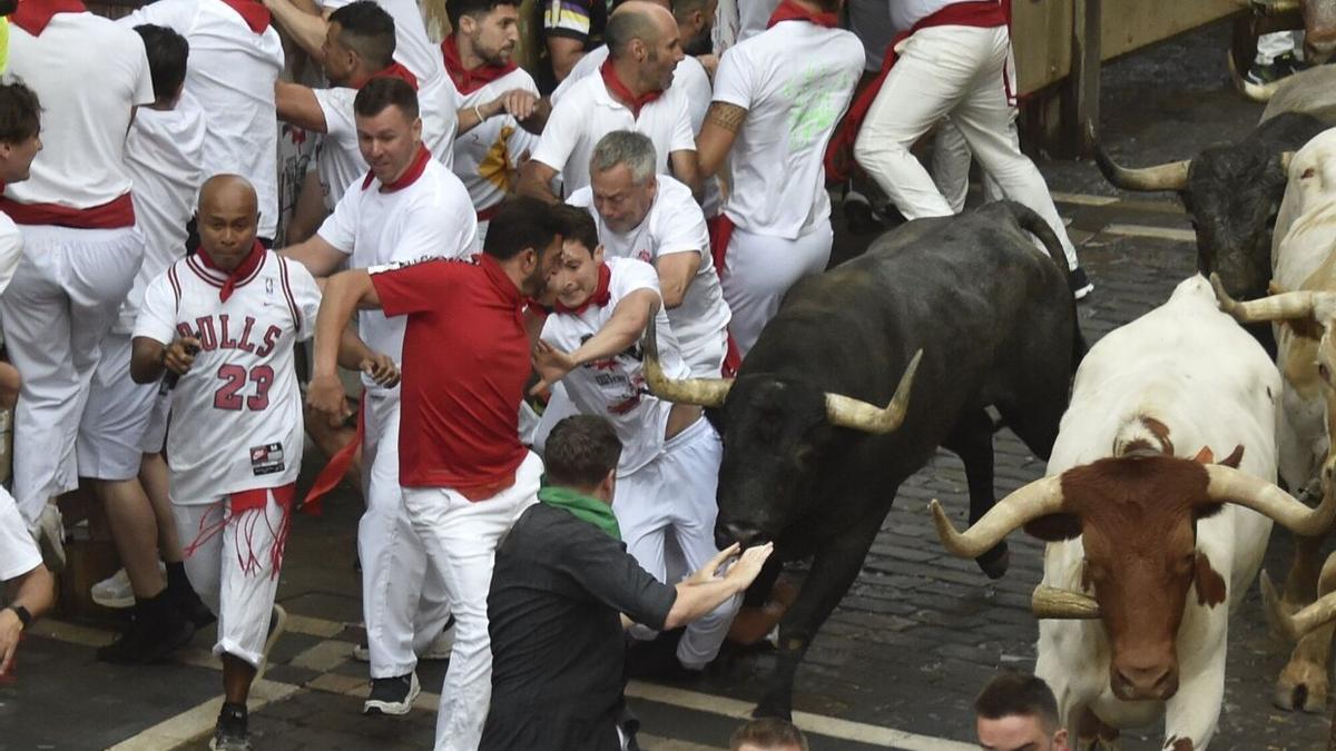 Los toros de Escolar a su paso por el Ayuntamiento.