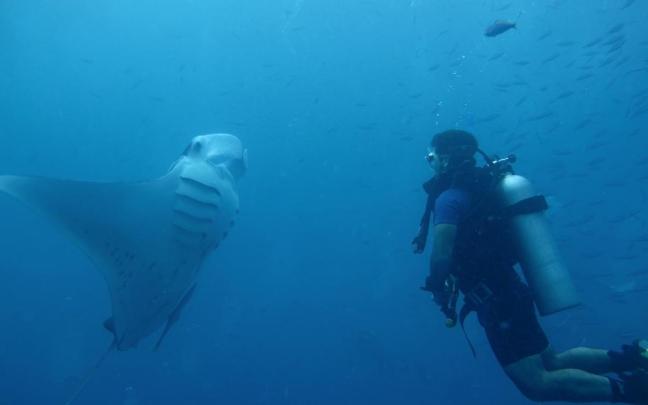 La CE ha reconocido la contribucion a la sostenibilidad marina de Azti.