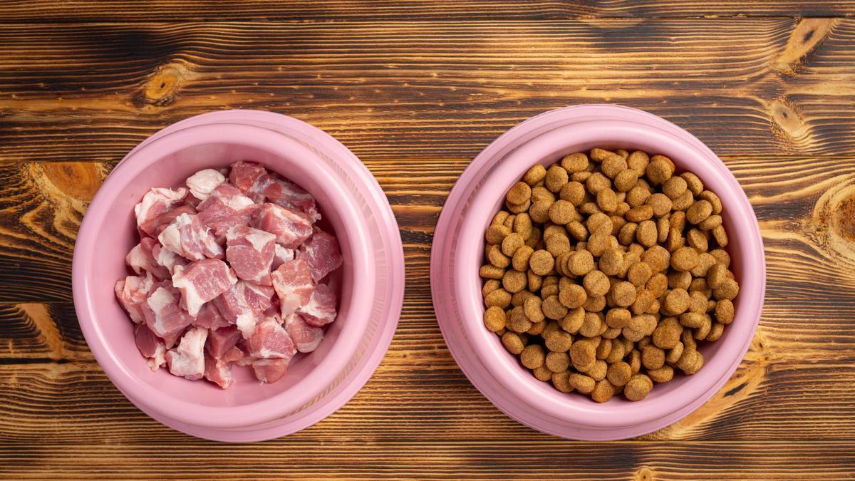 Carne fresca y pienso, dos alternativas de alimentación para los perros.