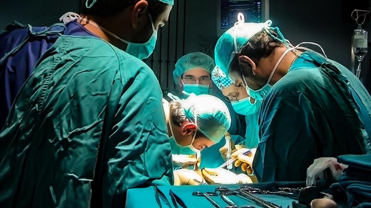 Trasplante de órganos