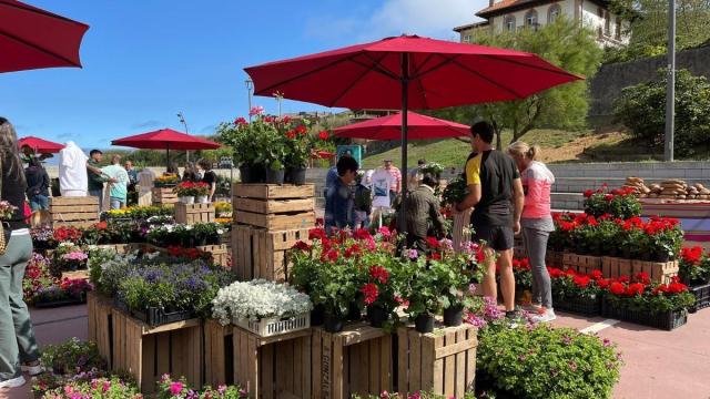 El mercado de flores de Zierbena reunirá a cerca de 40 puestos con flores y plantas de interior y exterior / E. Zunzunegi El mercado de flores de Zierbena reunirá a cerca de 40 puestos con flores y plantas de interior y exterior