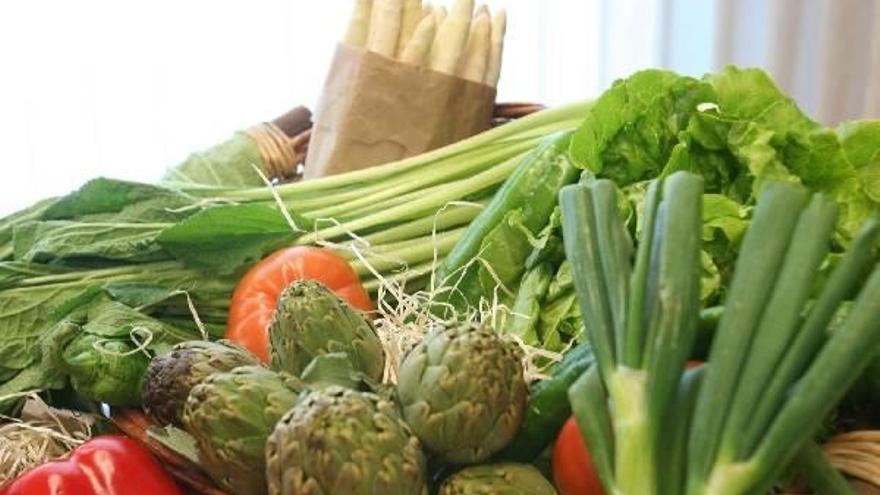 Verduras y hortalizas de una huerta ecológica.