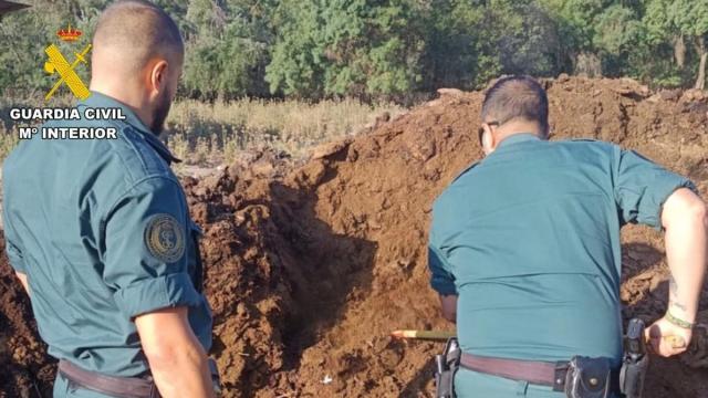 Las gestiones practicadas han determinado que los cinco perros habrían sido abatidos con disparos de escopeta.