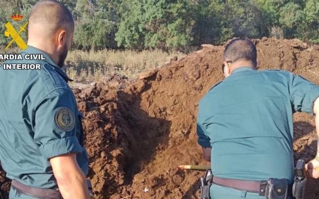 Las gestiones practicadas han determinado que los cinco perros habrían sido abatidos con disparos de escopeta.