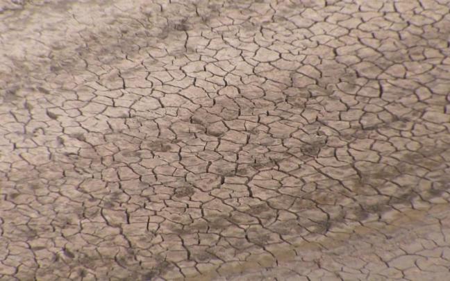 La degradación de la tierra y los conflictos están provocando la crisis del hambre en 23 países. La degradación de la tierra y los conflictos están provocando la crisis del hambre en 23 países.