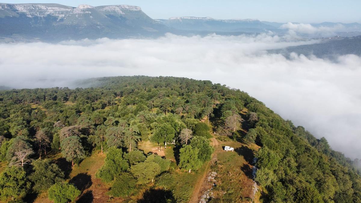El yacimiento se ubica en la cima del monte Babio en la localidad ayalesa de Izoria