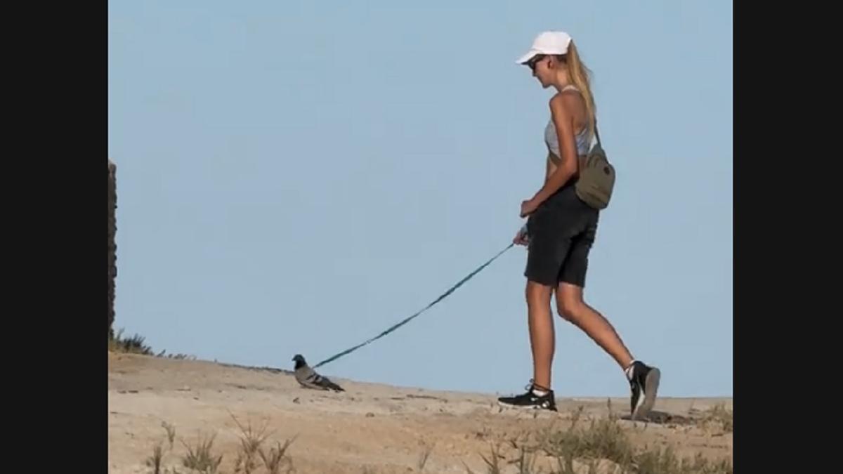 La joven, paseando a la paloma por una playa de Torrevieja.
