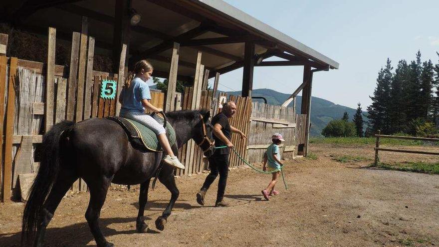 Los más pequeños también tendrán la oportunidad de disfrutar de un paseo sobre estos animales.