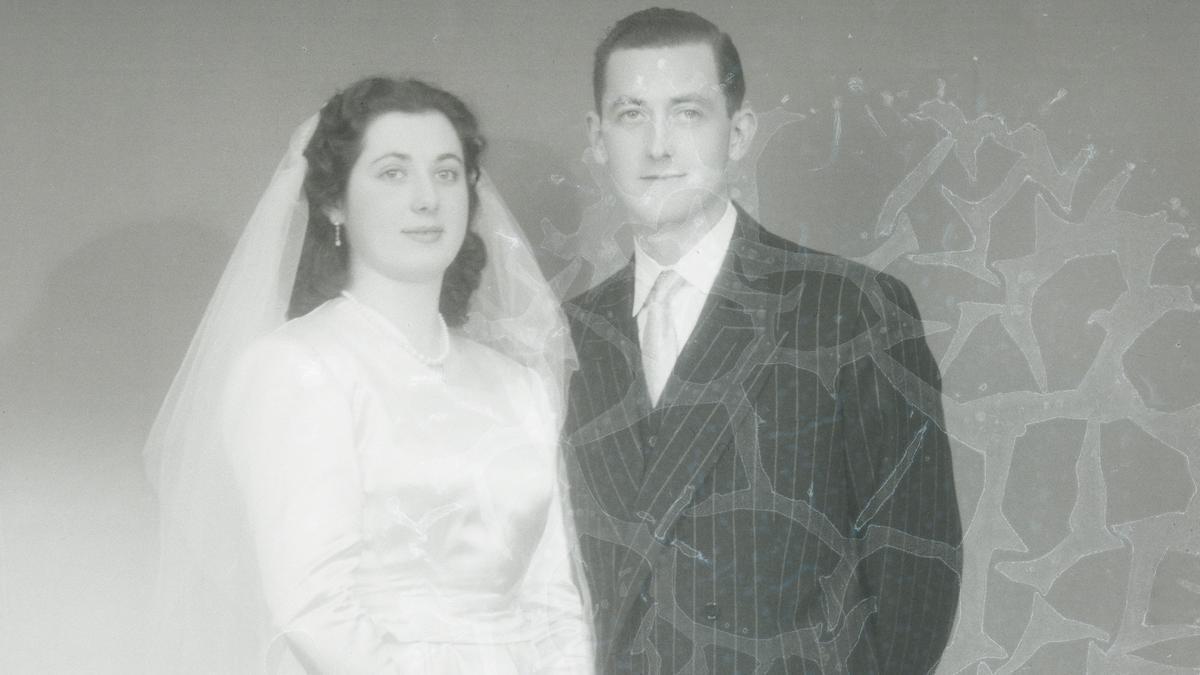 Herrian kontserbatutako argazki multzo garrantzitsuenetako bat baita.