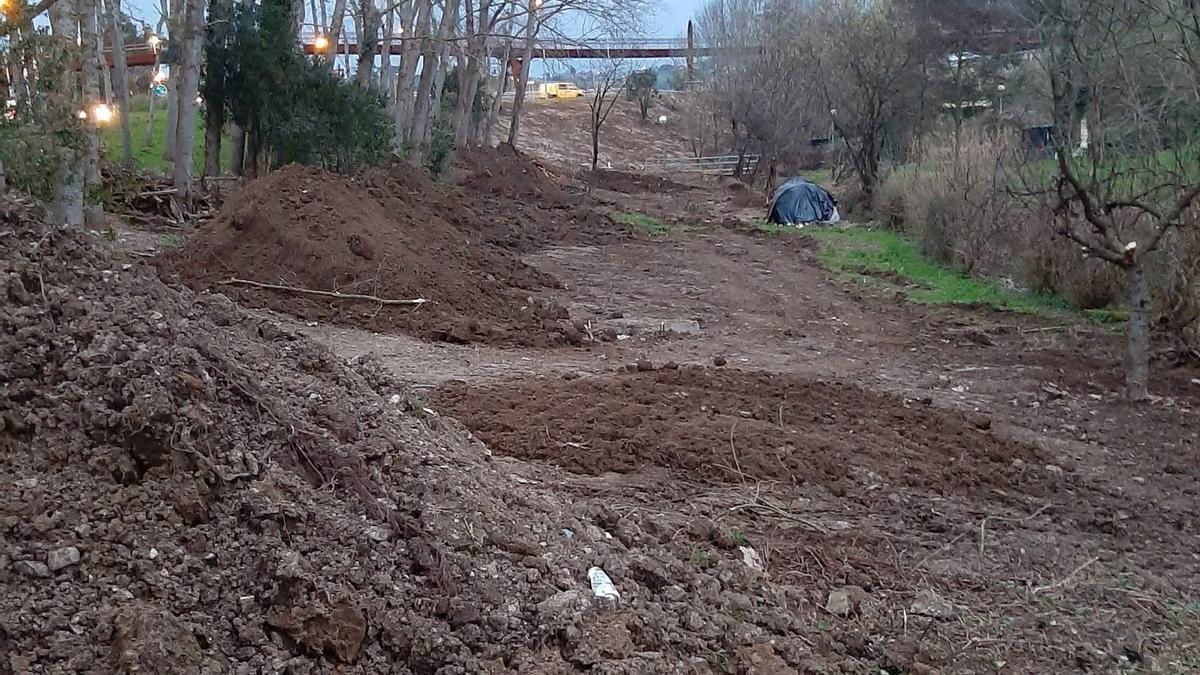 Imagen de los trabajos de recuperación del área verde.