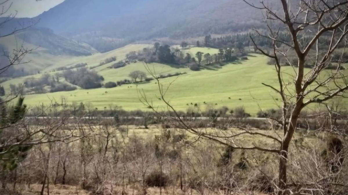 Parcela de monte público de Orduña donde se ha desarrollado el proyecto 'Bosque Resiliente'