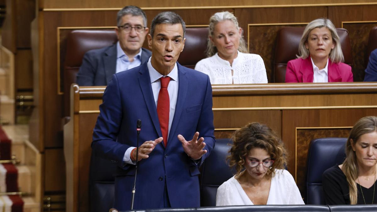 Sánchez, en el Congreso.