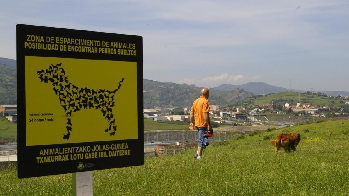 Zona de esparcimiento para perros, que suelen sufrir picaduras de garrapata