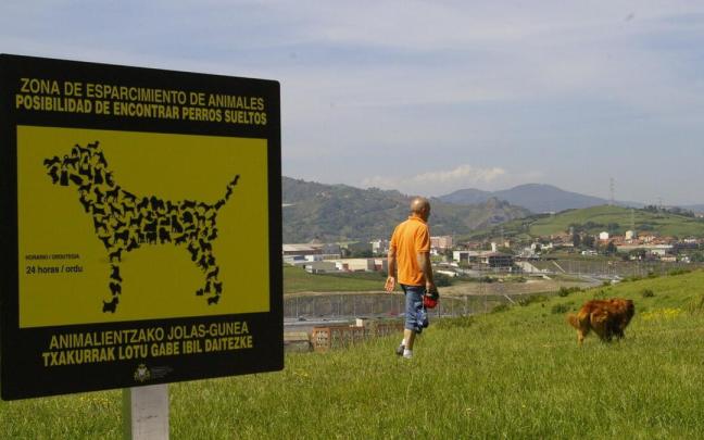 Zona de esparcimiento para perros, que suelen sufrir picaduras de garrapata
