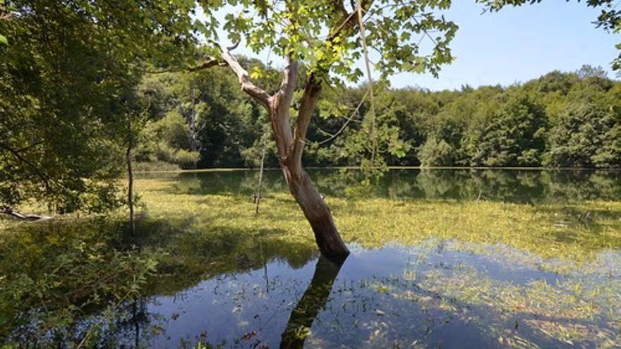 Imagen de la Laguna de Lamioxin.