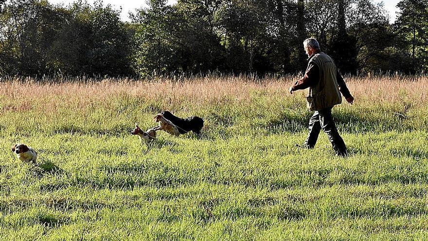 El virus ha sido detectado en tres perros de caza.