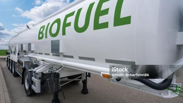 Utilizan un proceso termoquímico que permite convertir residuos en productos de alto valor, como biocombustibles.