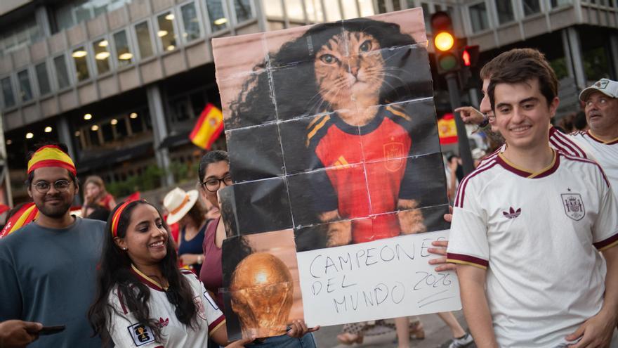El gato es una auténtica estrella en las redes.