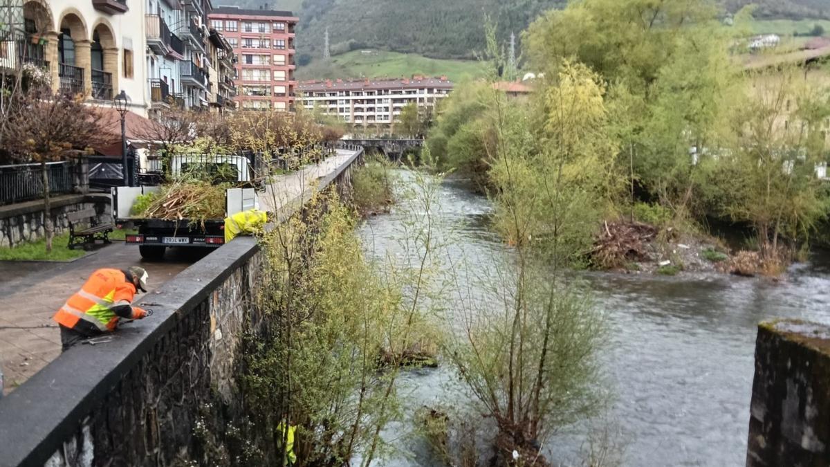 Operarios de Basoinsa, llevando a cabo las labores de poda, desbroce y retirada de vegetación del cauce del río Urola.