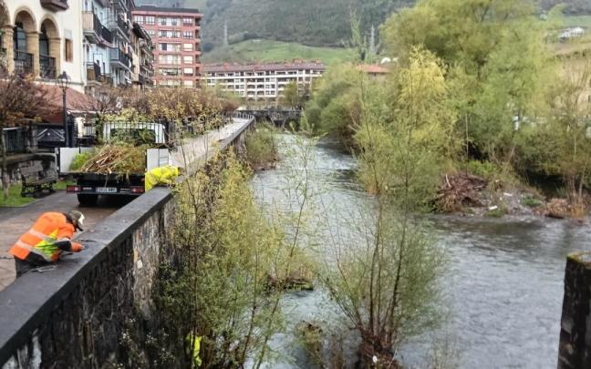 Operarios de Basoinsa, llevando a cabo las labores de poda, desbroce y retirada de vegetación del cauce del río Urola.