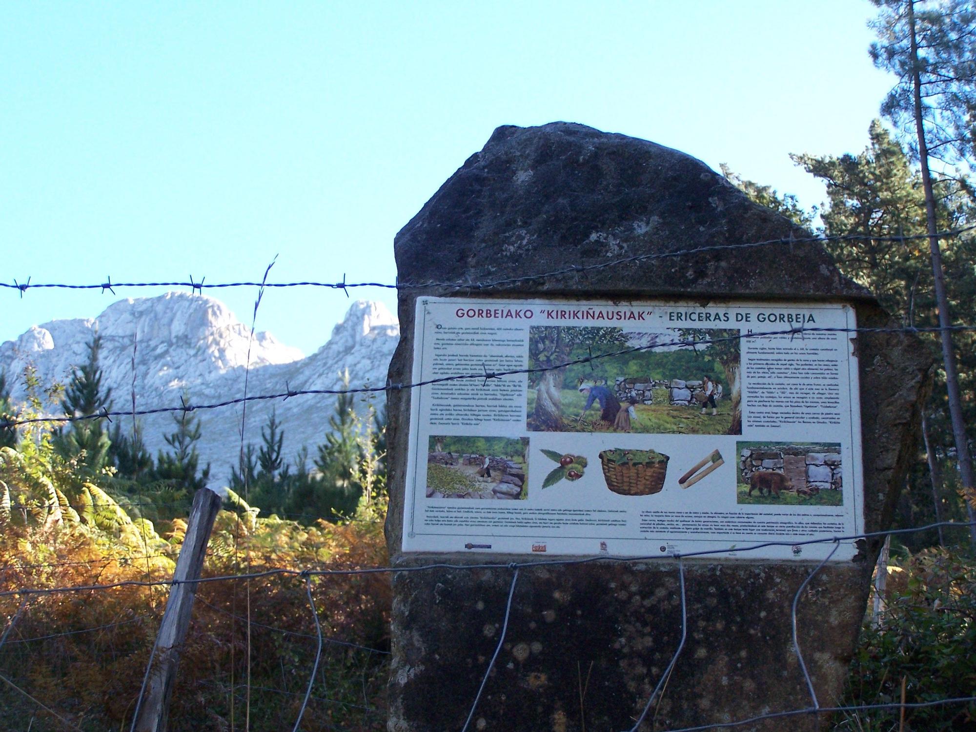 Referencias a la recolección de castañas en Orozko en una parte del recorrido