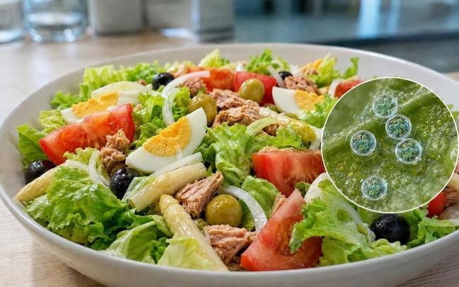 La Cyclospora puede quedar adherida a frutas, verduras y hierbas consumidas crudas; el círculo muestra una recreación ampliada de sus ooquistes.