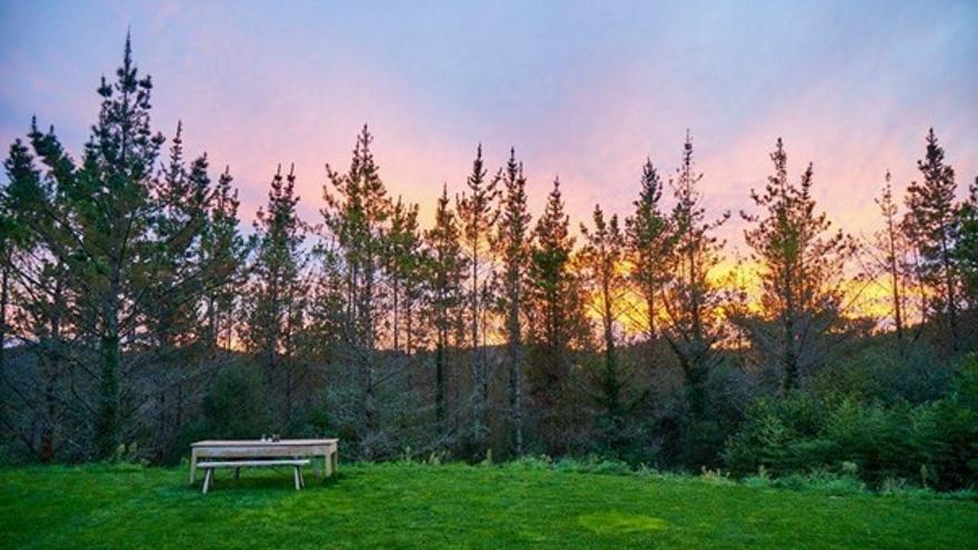 Entorno de La Revelía, en el bosque de Amorebieta-Etxano.