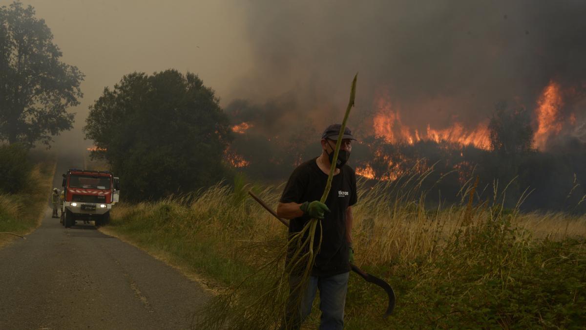 Imagen de uno de los incendios de la provincia de Ourense