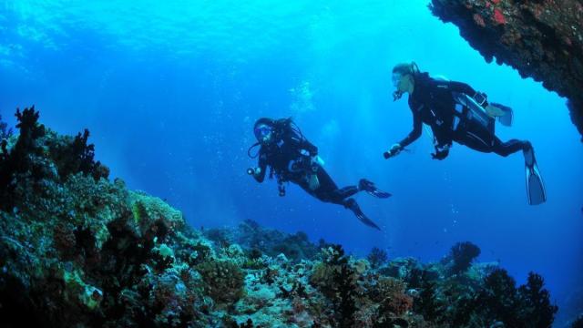 Buceo Hondarribia ofrece diferentes actividades subacuáticas. / Cedida Buceo Hondarribia ofrece diferentes actividades subacuáticas.
