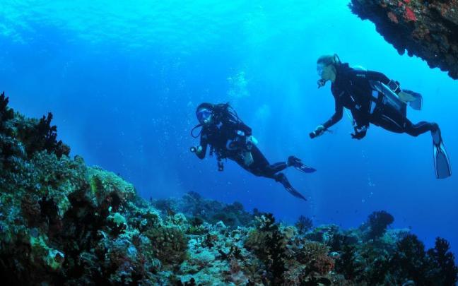 Buceo Hondarribia ofrece diferentes actividades subacuáticas. / Cedida Buceo Hondarribia ofrece diferentes actividades subacuáticas.