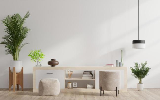 Salón moderno decorado por varias plantas.